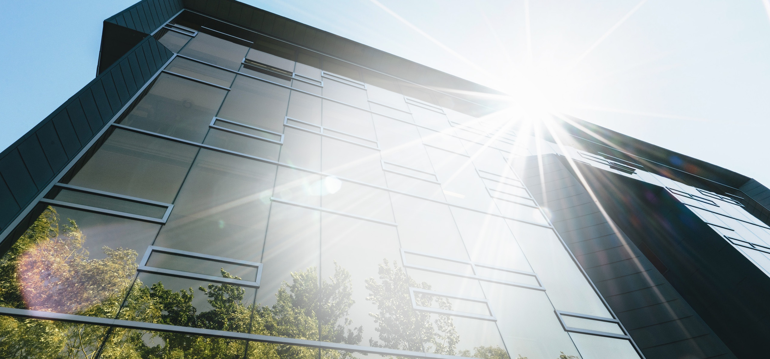 SUSTAINABILITY - Immersive Studios